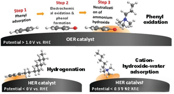 20241017094813 20241017094813